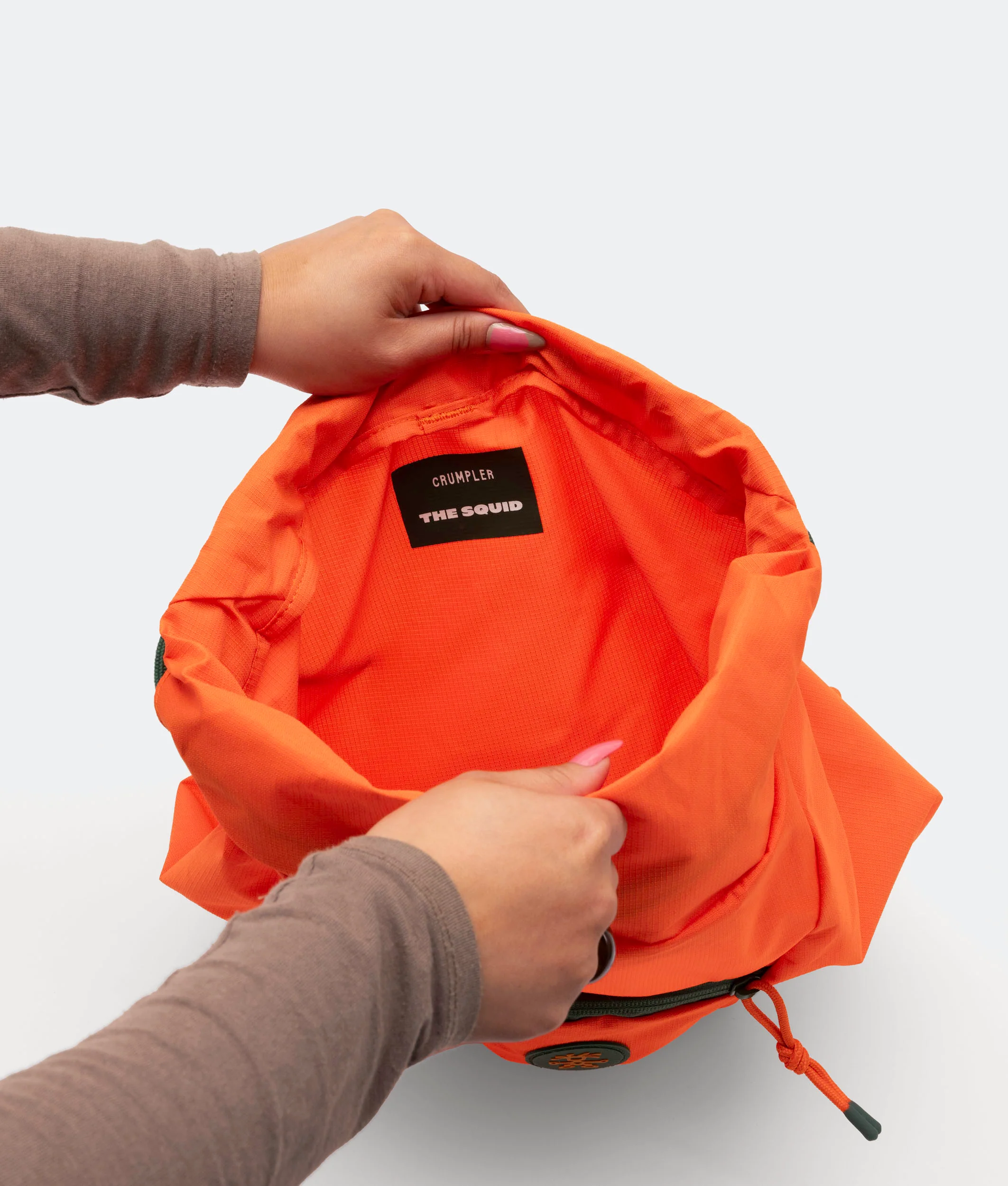 Squid - Image 38